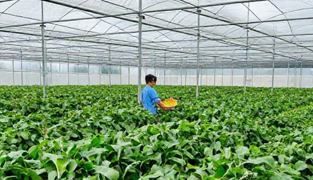 技术成果转化中的交付质量把控要点